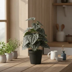 House Nordic kunstig plante med mønstrede blader i sort potte 33 cm