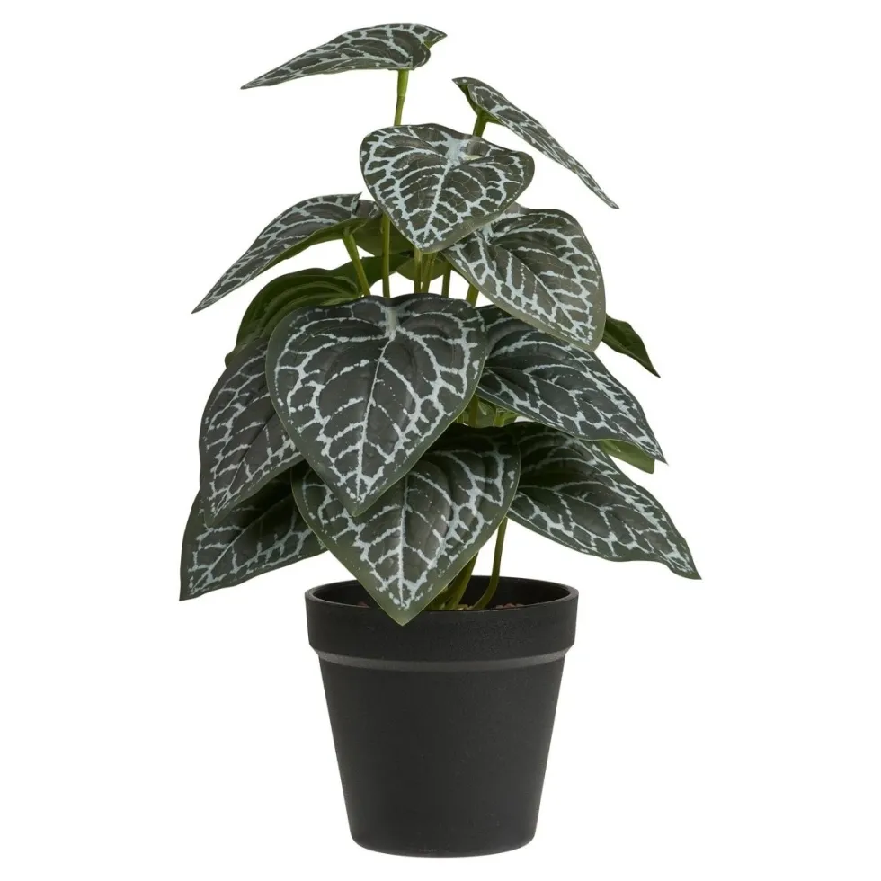 House Nordic kunstig plante med mønstrede blader i sort potte 33 cm