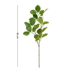 Mr. Plant bøk