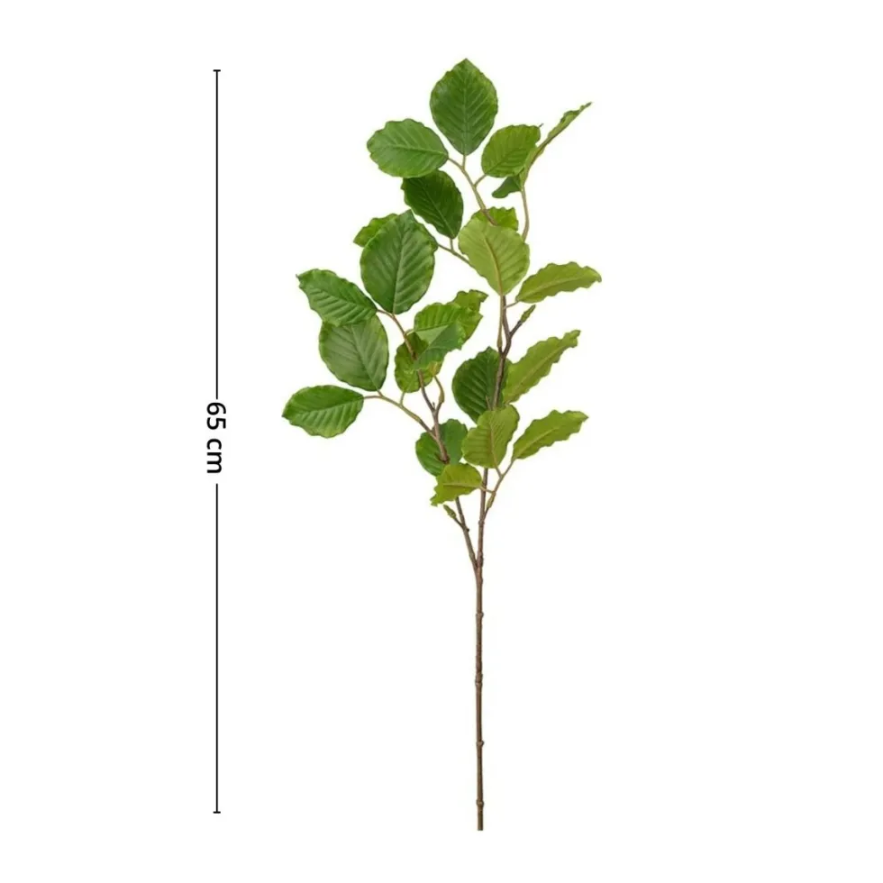 Mr. Plant bøk