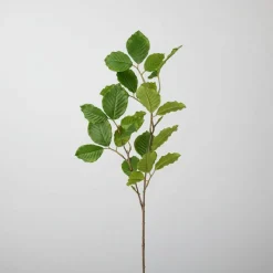 Mr. Plant bøk