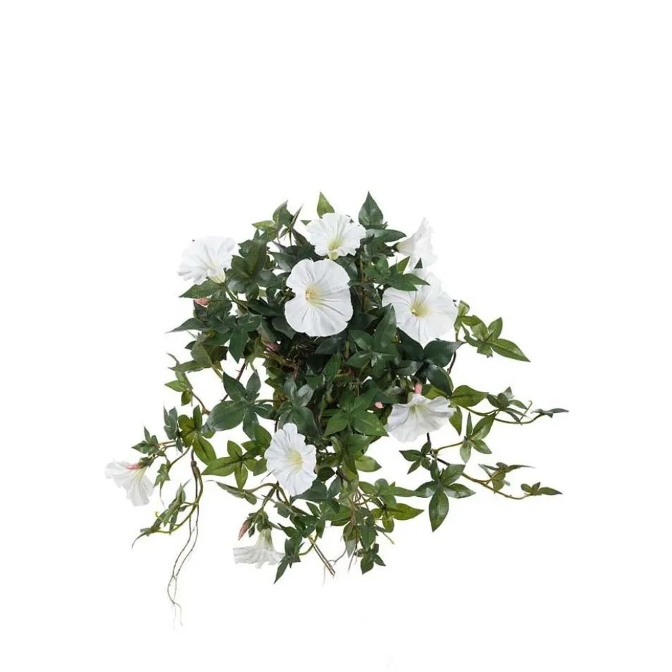 Mr. Plant blomst for dagen