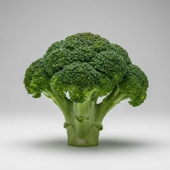 Mr. Plant Brokkoli kunstig