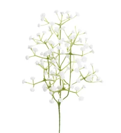 Mr. Plant brudeslør