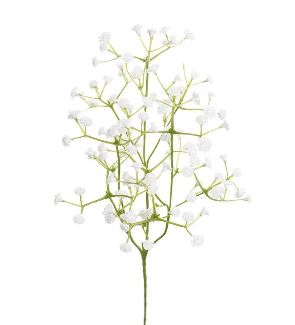 Mr. Plant brudeslør