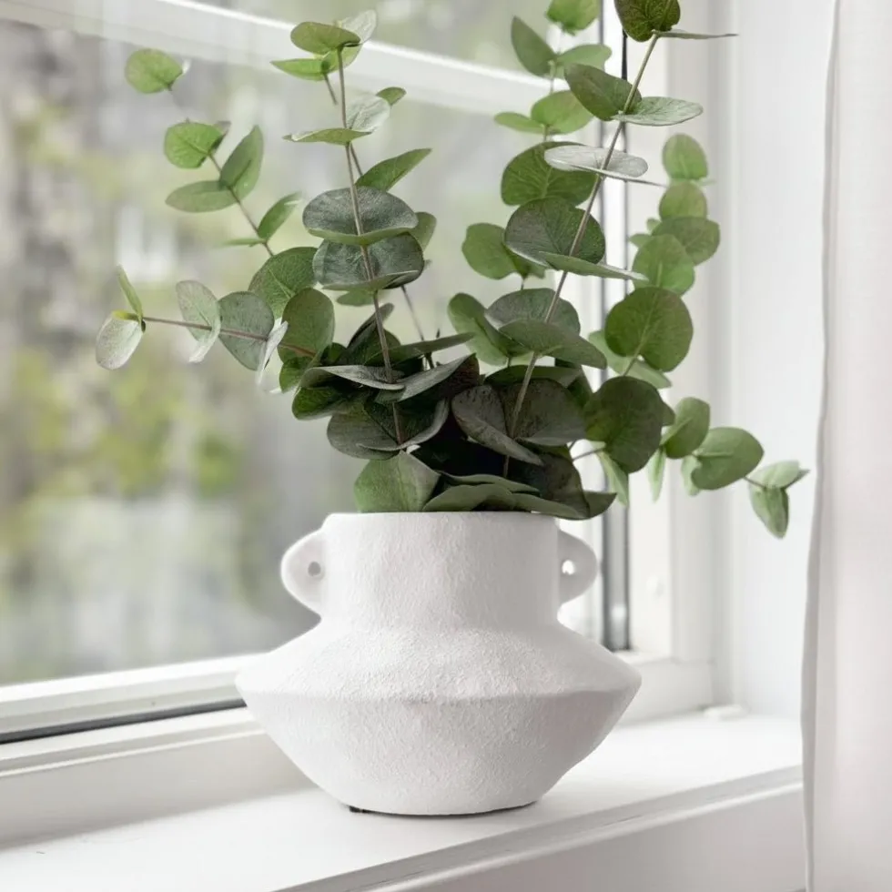 Mr. Plant Eucalyptus 60 cm
