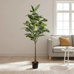 Mr. Plant Fikus Elastica 190 cm