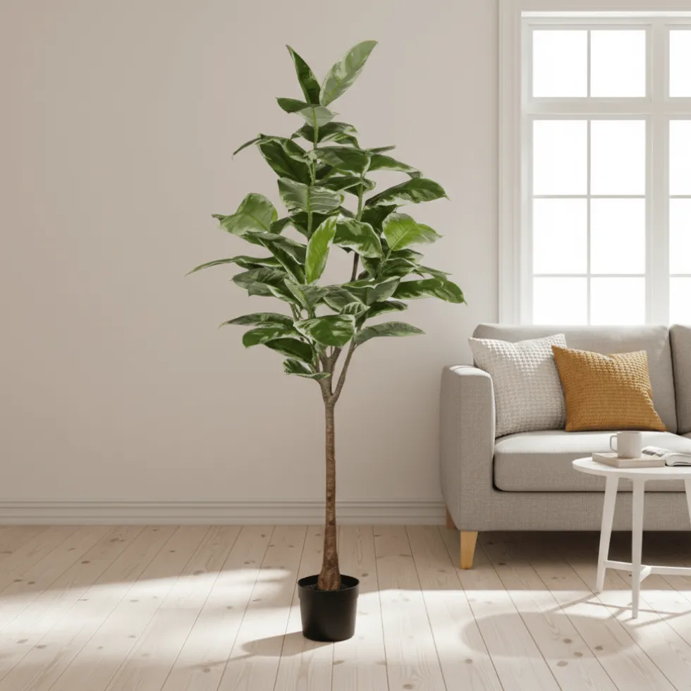Mr. Plant Fikus Elastica 190 cm