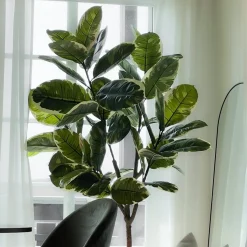 Mr. Plant Fikus Elastica 190 cm