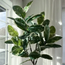 Mr. Plant Fikus Elastica 190 cm