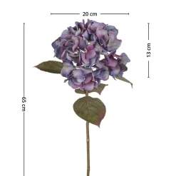 Mr. Plant Hortensia blå/lilla, 65 cm