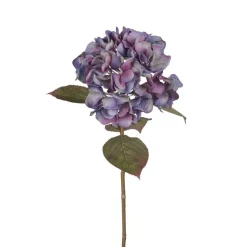 Mr. Plant Hortensia blå/lilla, 65 cm