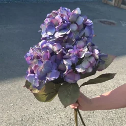 Mr. Plant Hortensia blå/lilla, 65 cm