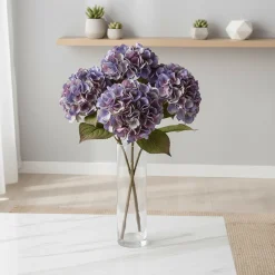 Mr. Plant Hortensia blå/lilla, 65 cm