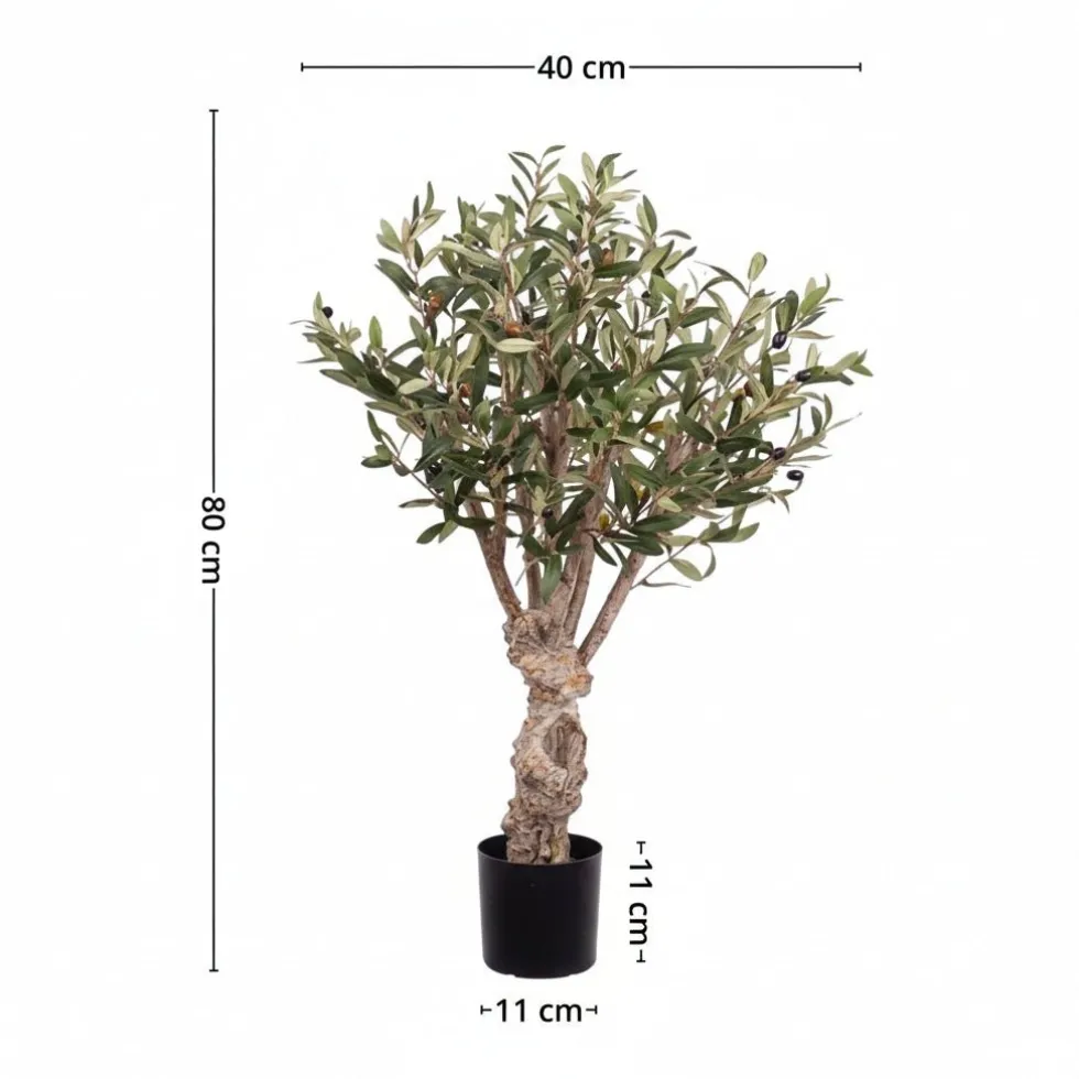 Mr. Plant Oliventre 80 cm