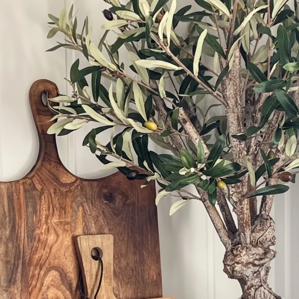 Mr. Plant Oliventre 80 cm
