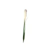 Mr. plant pampasgress 122 cm
