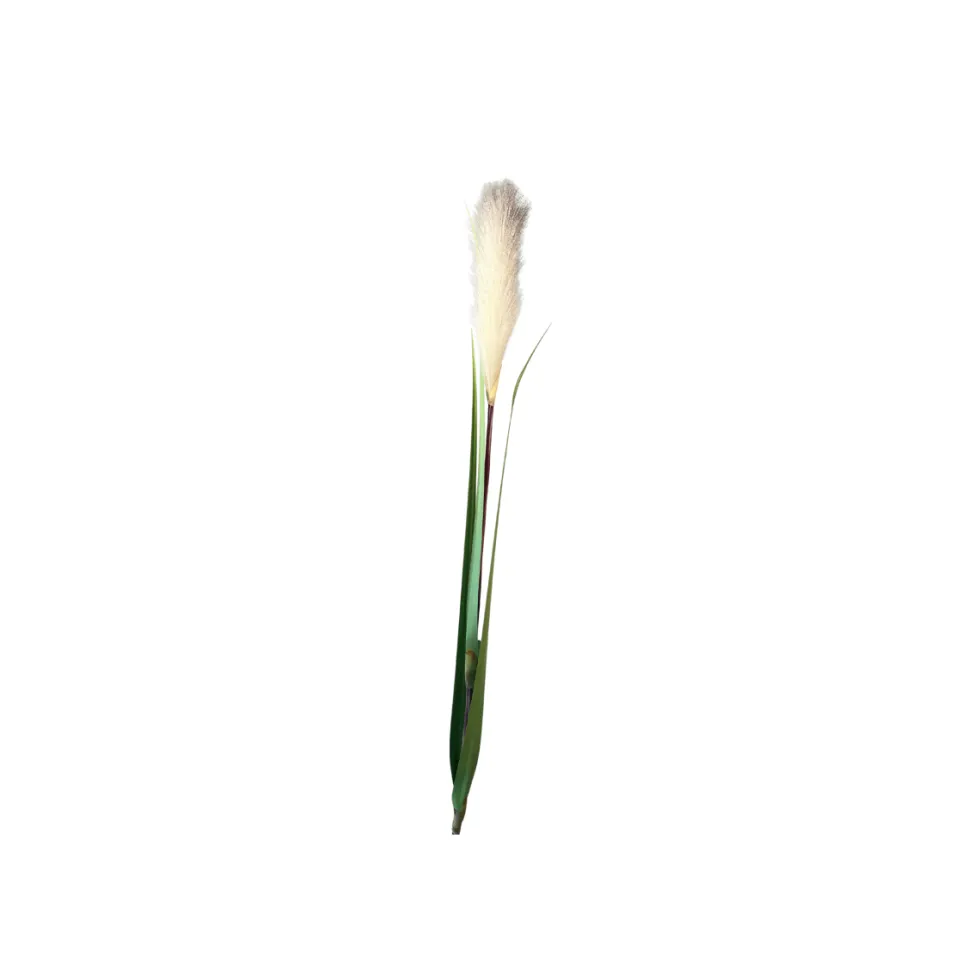 Mr. plant pampasgress 122 cm