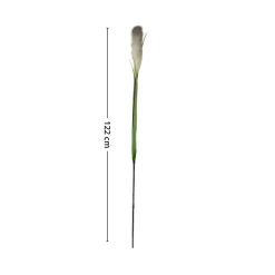 Mr. plant pampasgress 122 cm