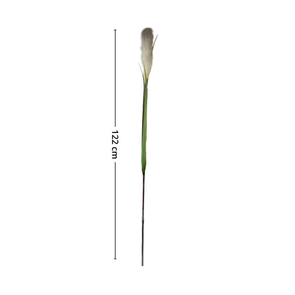 Mr. plant pampasgress 122 cm