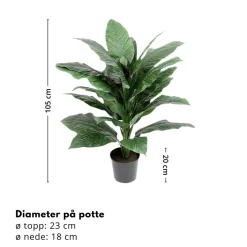 Mr. Plant Spathiphyllum 105 cm
