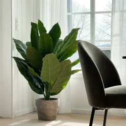Mr. Plant Spathiphyllum 105 cm