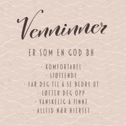 20-pk Servietter BH Venninne, rosa