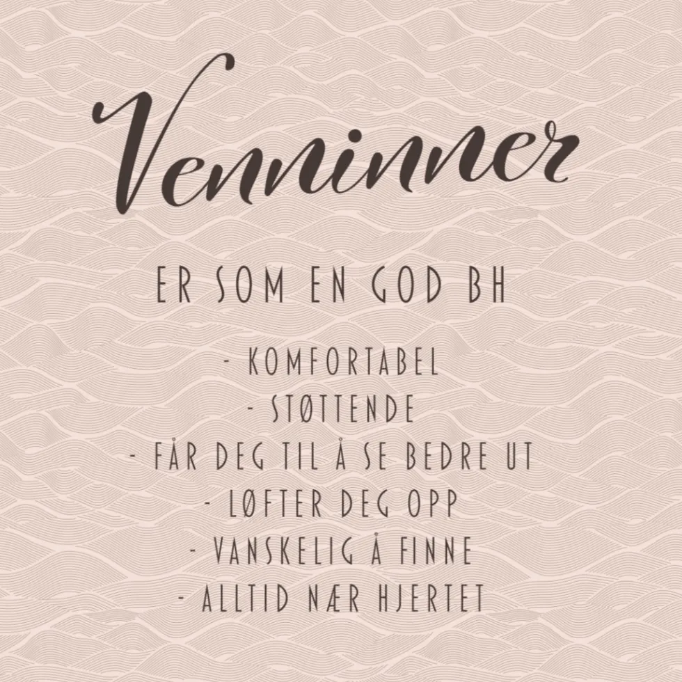 20-pk Servietter BH Venninne, rosa