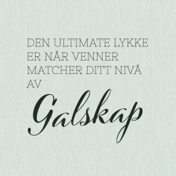 20-pk Serviett Ultimate lykke venner galskap